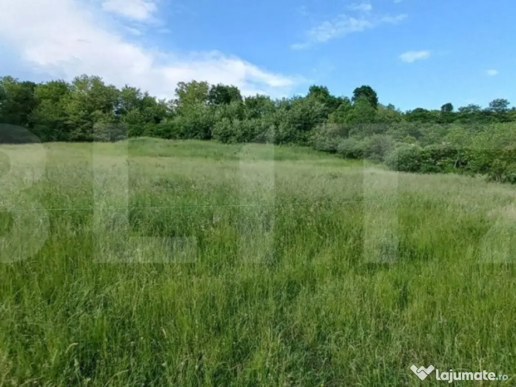 Teren intravilan, 9100 mp, zona Crainimat