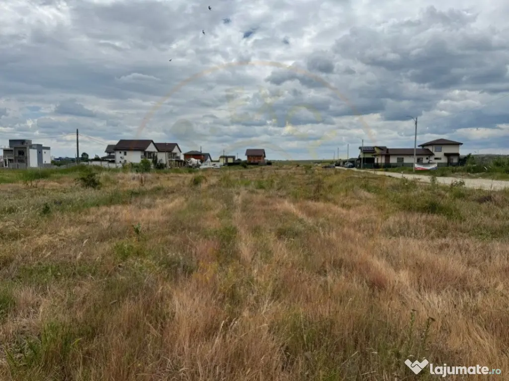 Teren 10.000 mp - Str. Octavian Goga, Craiovei! 