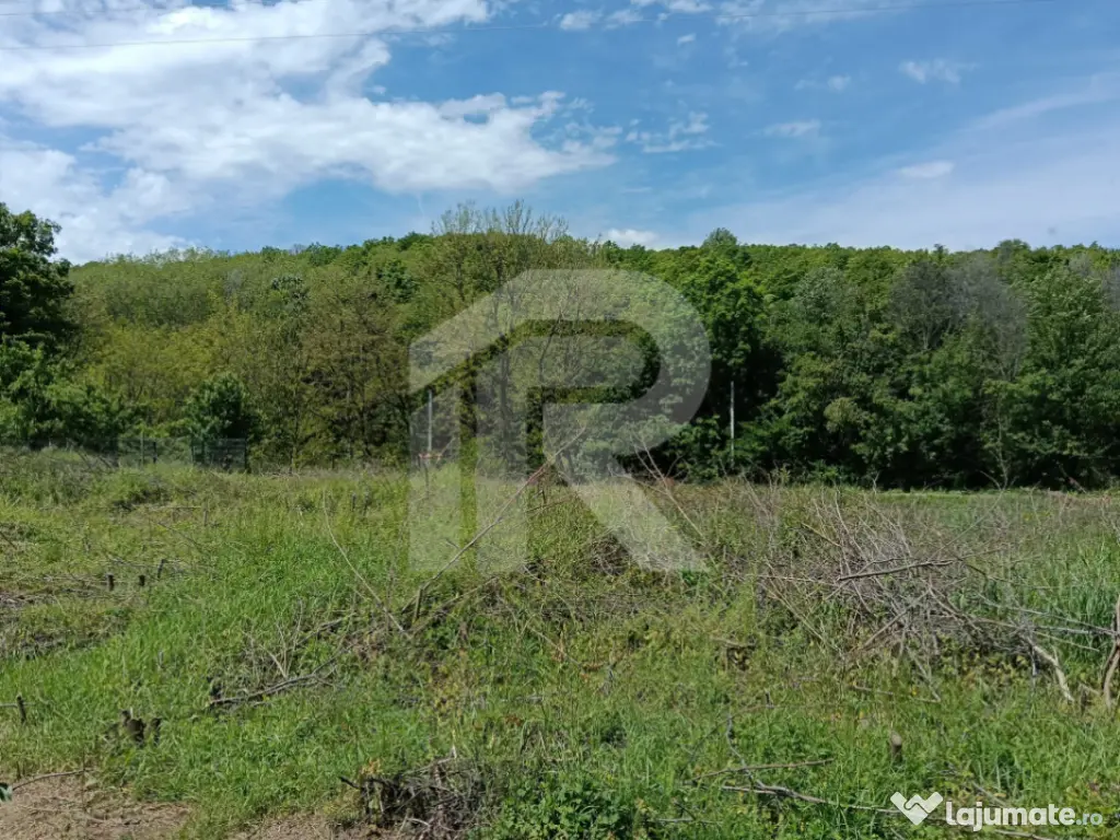 Teren Intrav. in Tiparesti, Cocorasti Mislii, langa padure 