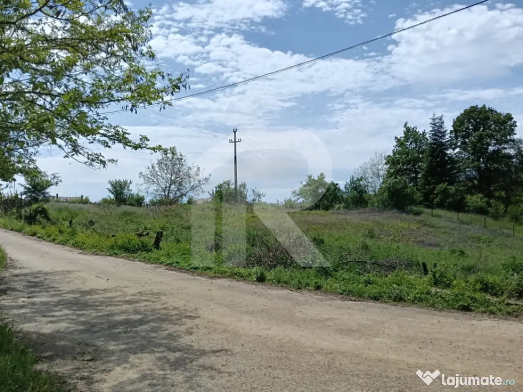Teren Intrav. in Tiparesti, Cocorasti Mislii, langa padure 