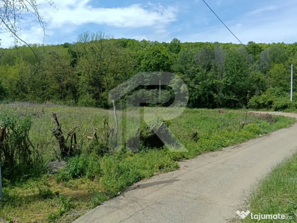 Teren Intrav. in Tiparesti, Cocorasti Mislii, langa padure 