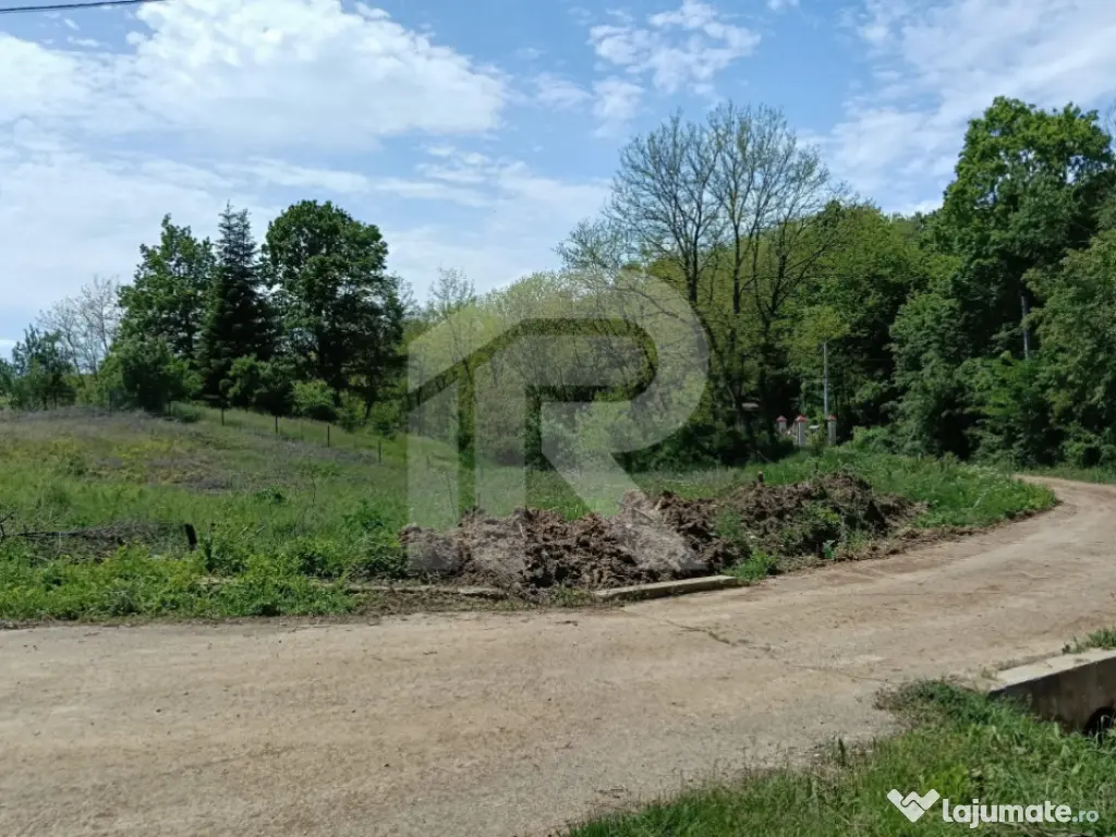 Teren Intrav. in Tiparesti, Cocorasti Mislii, langa padure 