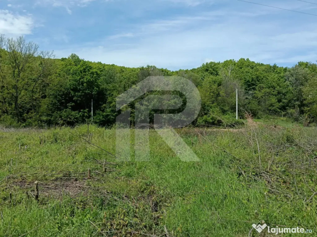 Teren Intrav. in Tiparesti, Cocorasti Mislii, langa padure 