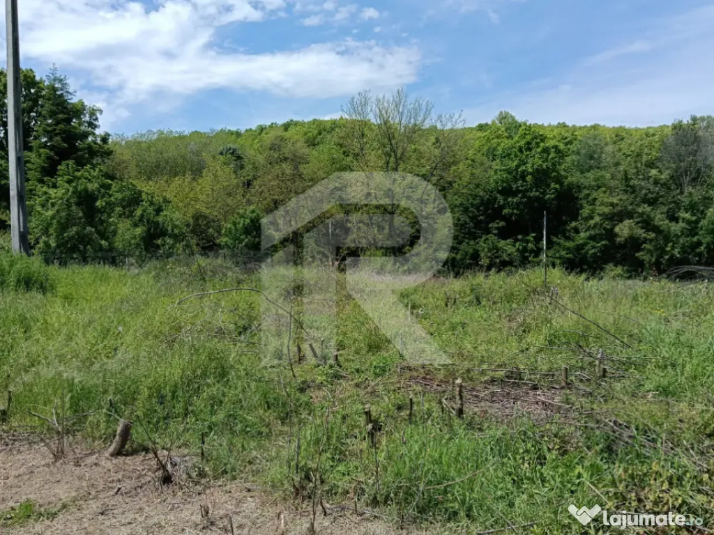 Teren Intrav. in Tiparesti, Cocorasti Mislii, langa padure 