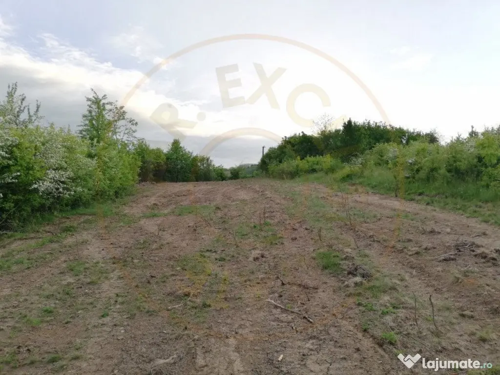 Teren 2000 mp intravilan Smeura-Mosoaia. Comision 0% 