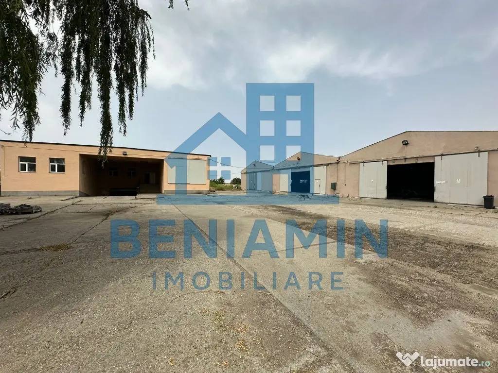 Hale 9000mp-Teren 24.000mp-Industrial-Dolj-Curent Trifazi... 