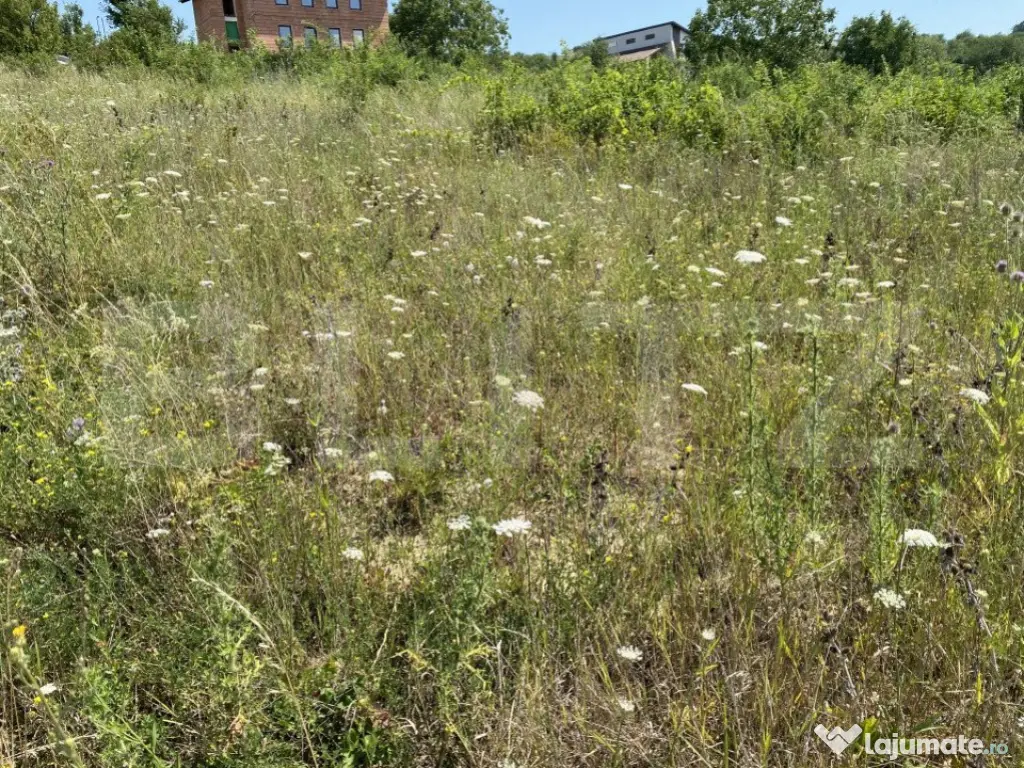 Teren intravilan in Livada Meses in suprafata de 800 mp