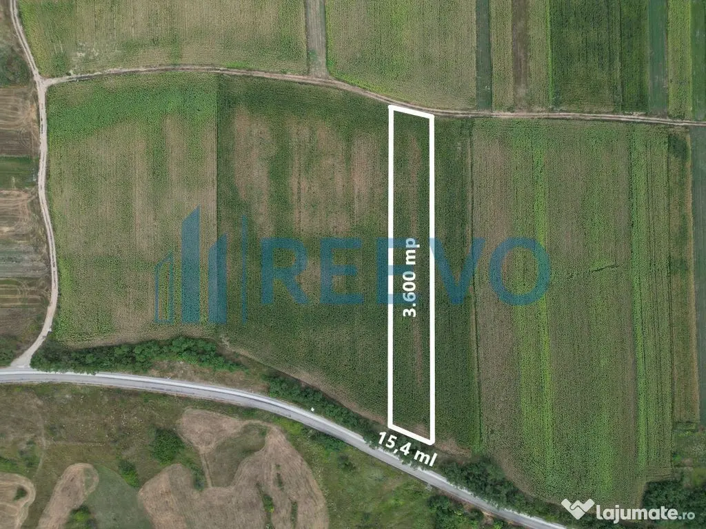 Teren de 3.600 mp Racova