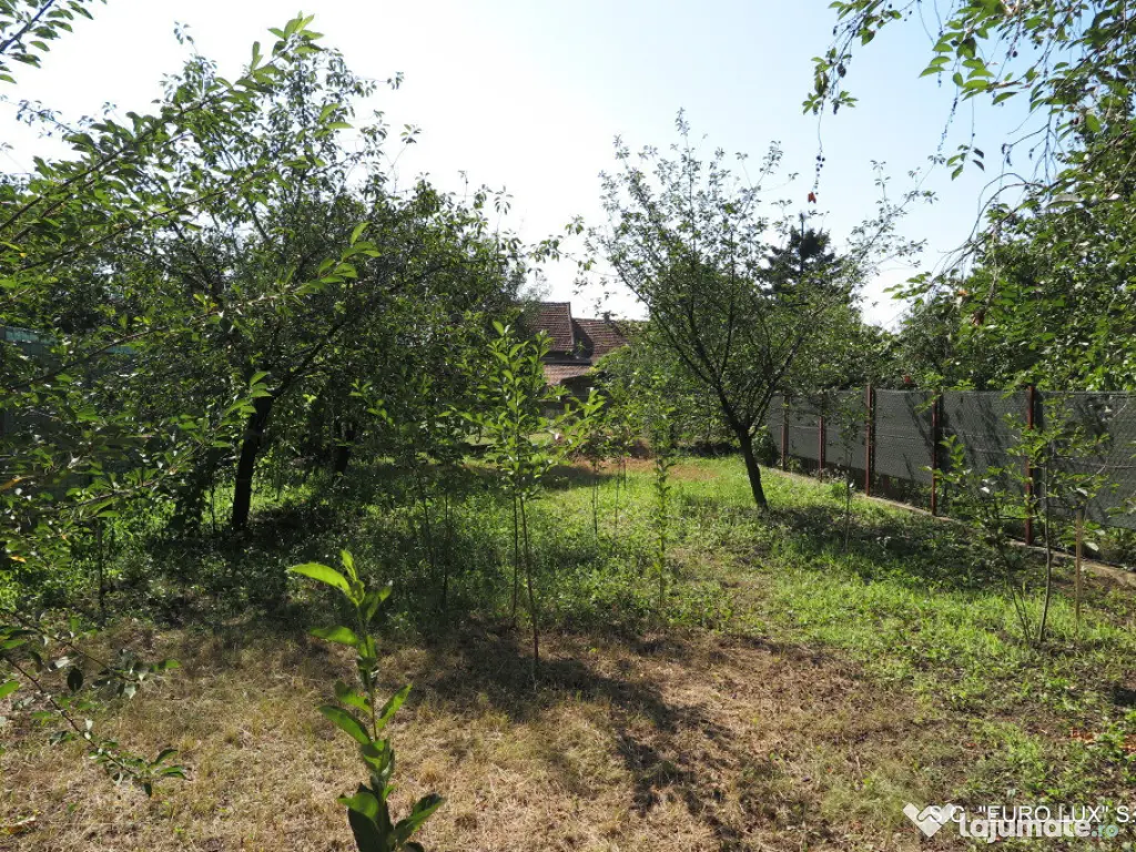 Loc de casa - Zona Gradiste 