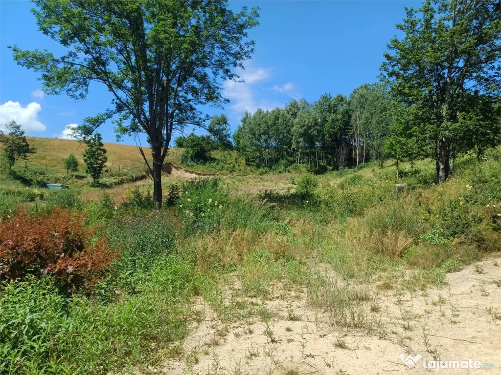 Teren Intravilan in zona Trei Ape, 6889 Mp., 14,5 Euro/Mp., 