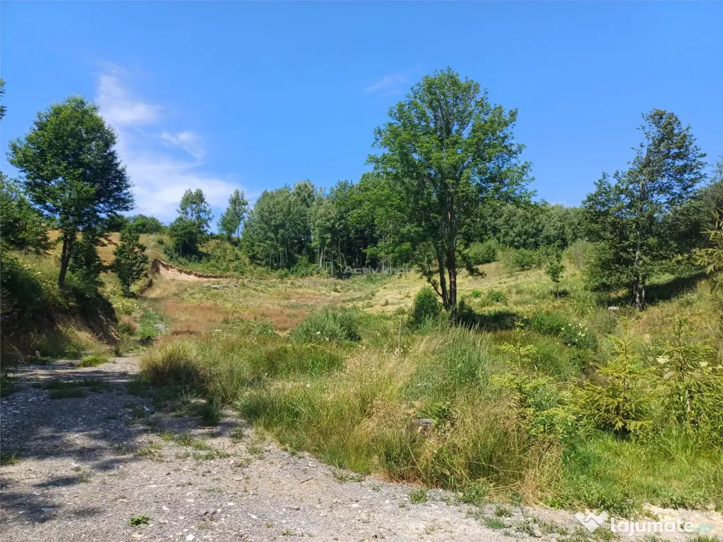 Teren Intravilan in zona Trei Ape, 6889 Mp., 14,5 Euro/Mp., 