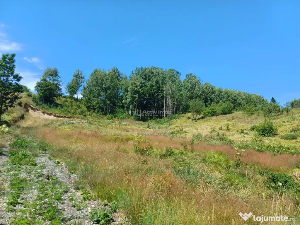 Teren Intravilan in zona Trei Ape, 6889 Mp., 14,5 Euro/Mp., 