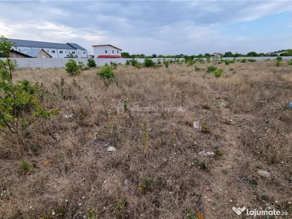 Teren 10.000 mp Giurgiului Tiparnitei 