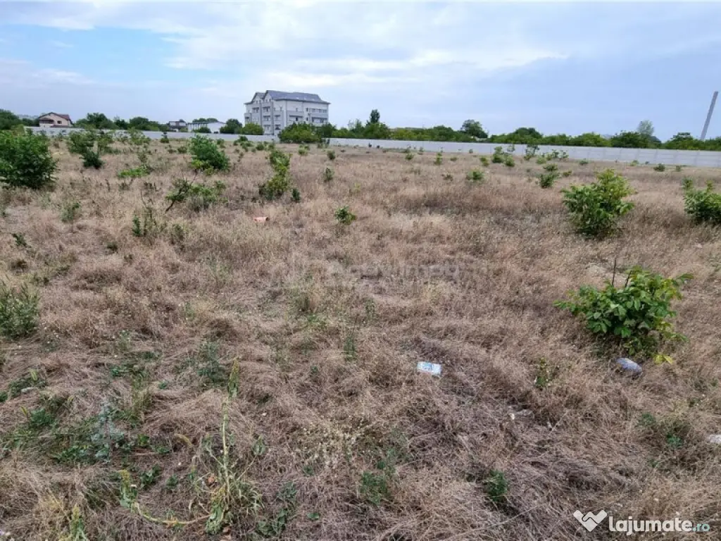 Teren 10.000 mp Giurgiului Tiparnitei 