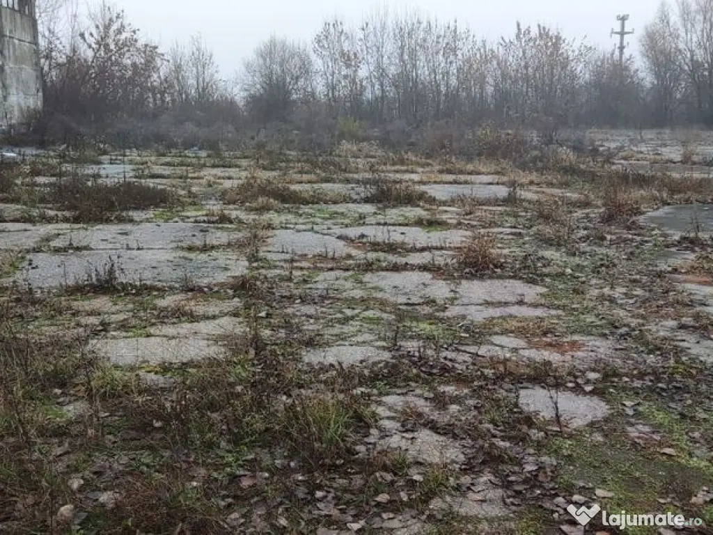 Hala ideal productie Oltenita 