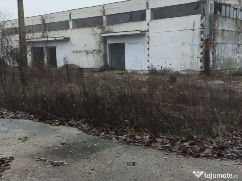 Hala ideal productie Oltenita 