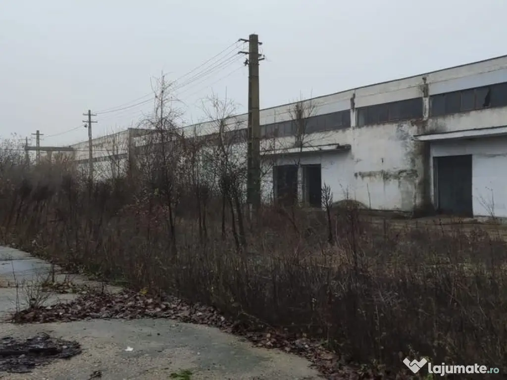 Hala ideal productie Oltenita 