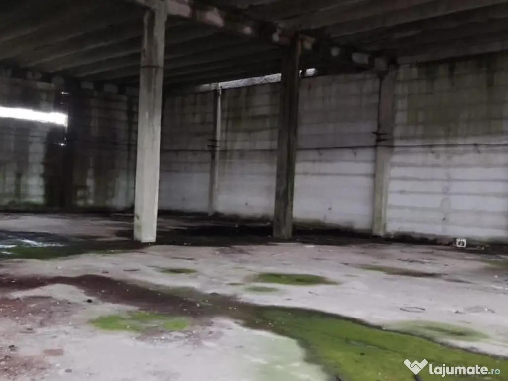 Hala ideal productie Oltenita 
