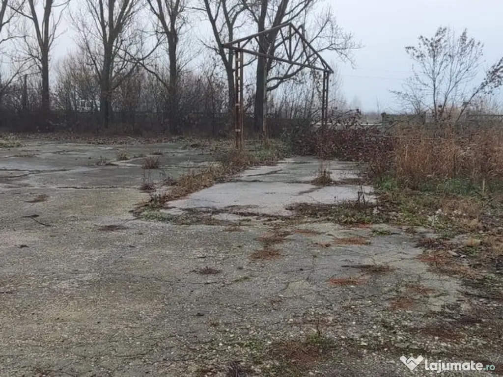 Hala ideal productie Oltenita 