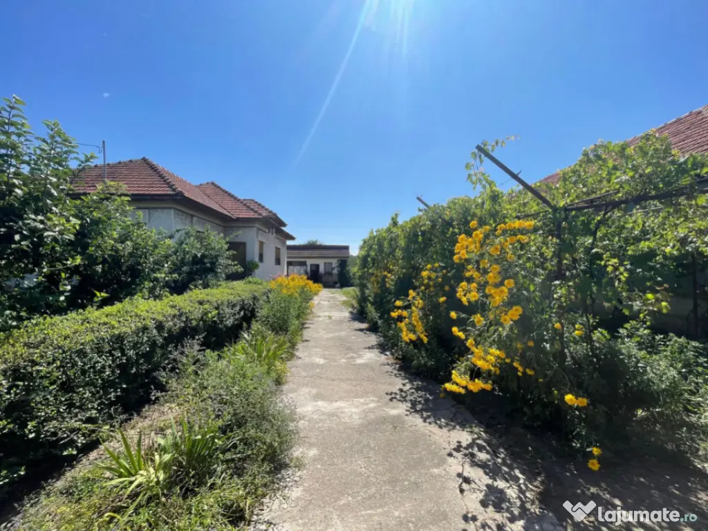 Casa 4 Camere + Teren (6500mp) si Anexe, Turcinesti 