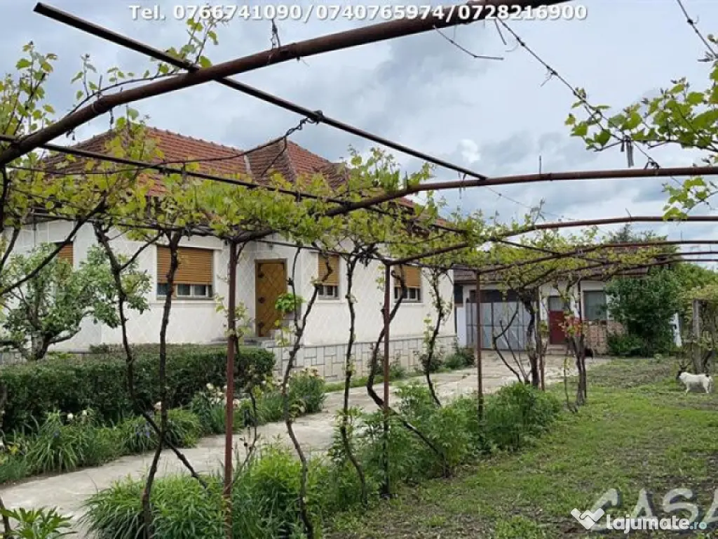 Casa 4 Camere + Teren (6500mp) si Anexe, Turcinesti 