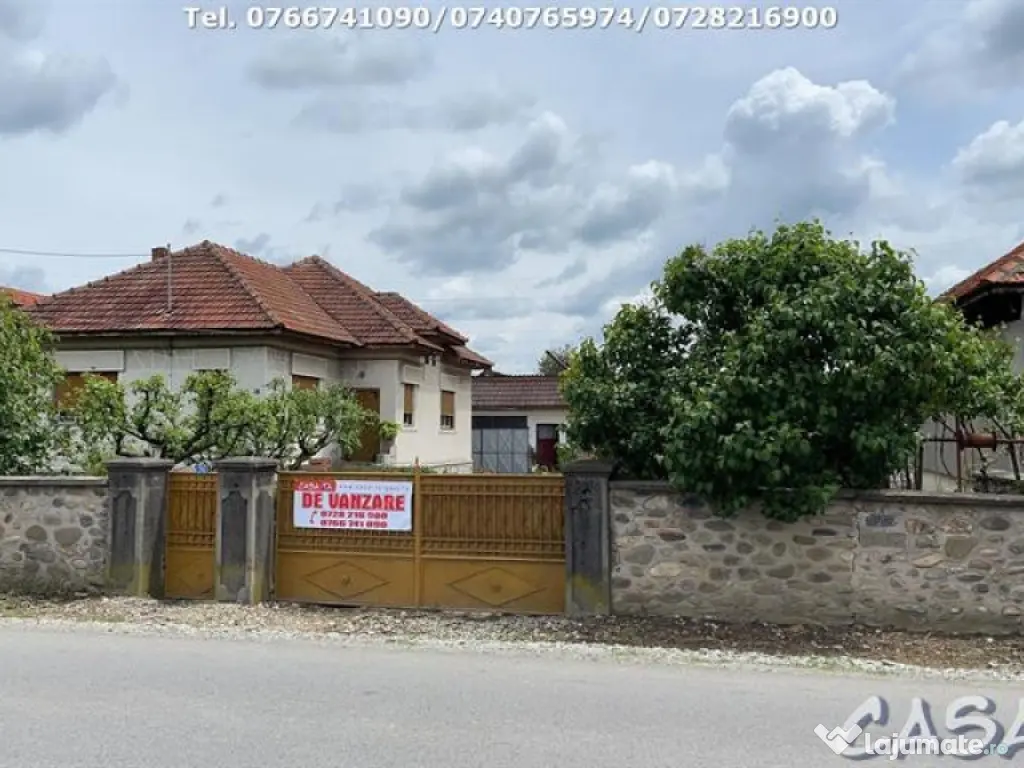 Casa 4 Camere + Teren (6500mp) si Anexe, Turcinesti 