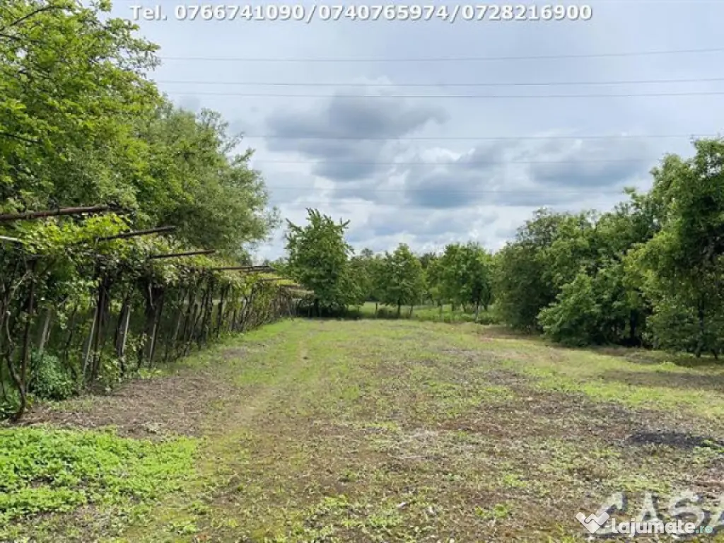 Casa 4 Camere + Teren (6500mp) si Anexe, Turcinesti 