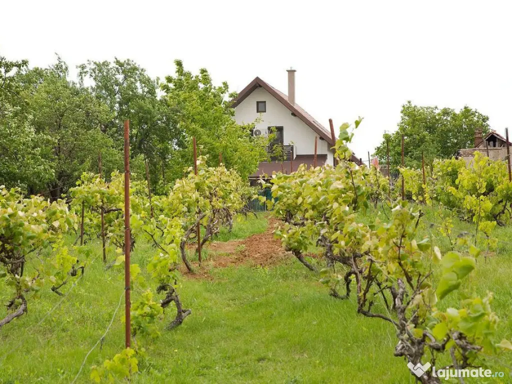 Vilă 5 dormitoare, 4 băi, 2 248mp teren, piscină. Pre?... 
