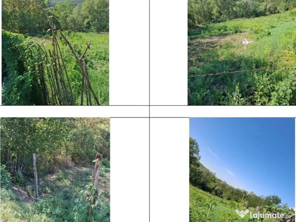 Casa si teren Apostolache, ID R2202581 