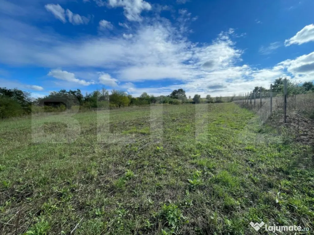 De Vânzare - Teren Intravilan, Localitatea Sumugiu