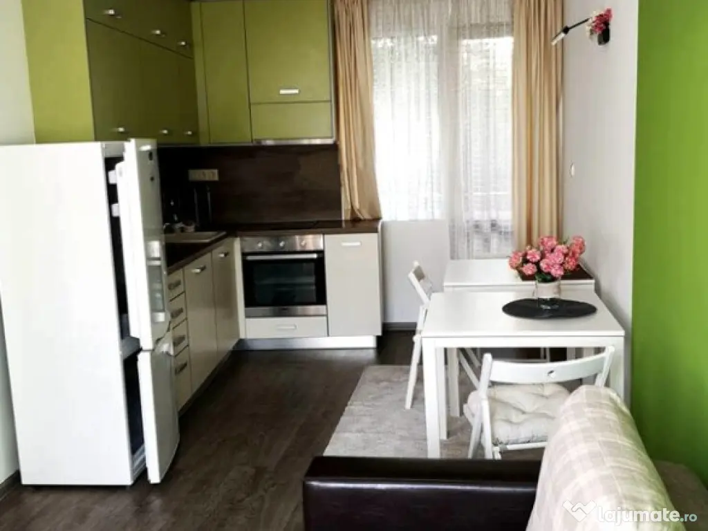Apartament cu 1 camera in zona Buziasului