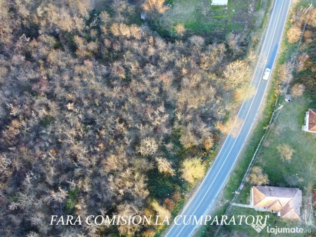 TEREN 4055 MP, DESCHIDERE 28 ML 