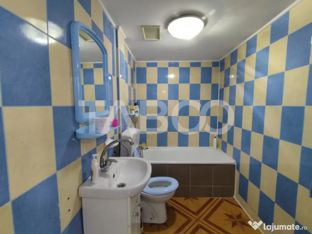 Casa cu spatii comerciale de vanzare in Sibiu Lacul Binder 