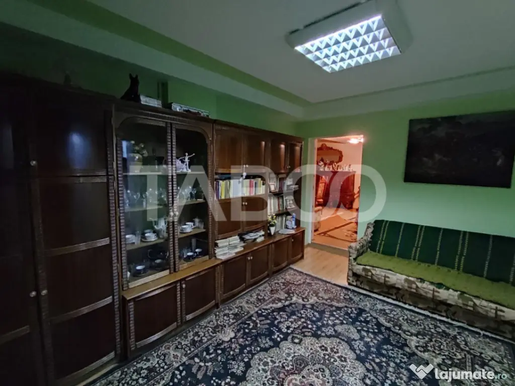 Casa cu spatii comerciale de vanzare in Sibiu Lacul Binder 