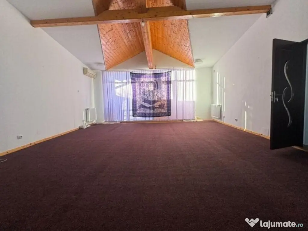 Rahova Vila 7 camere