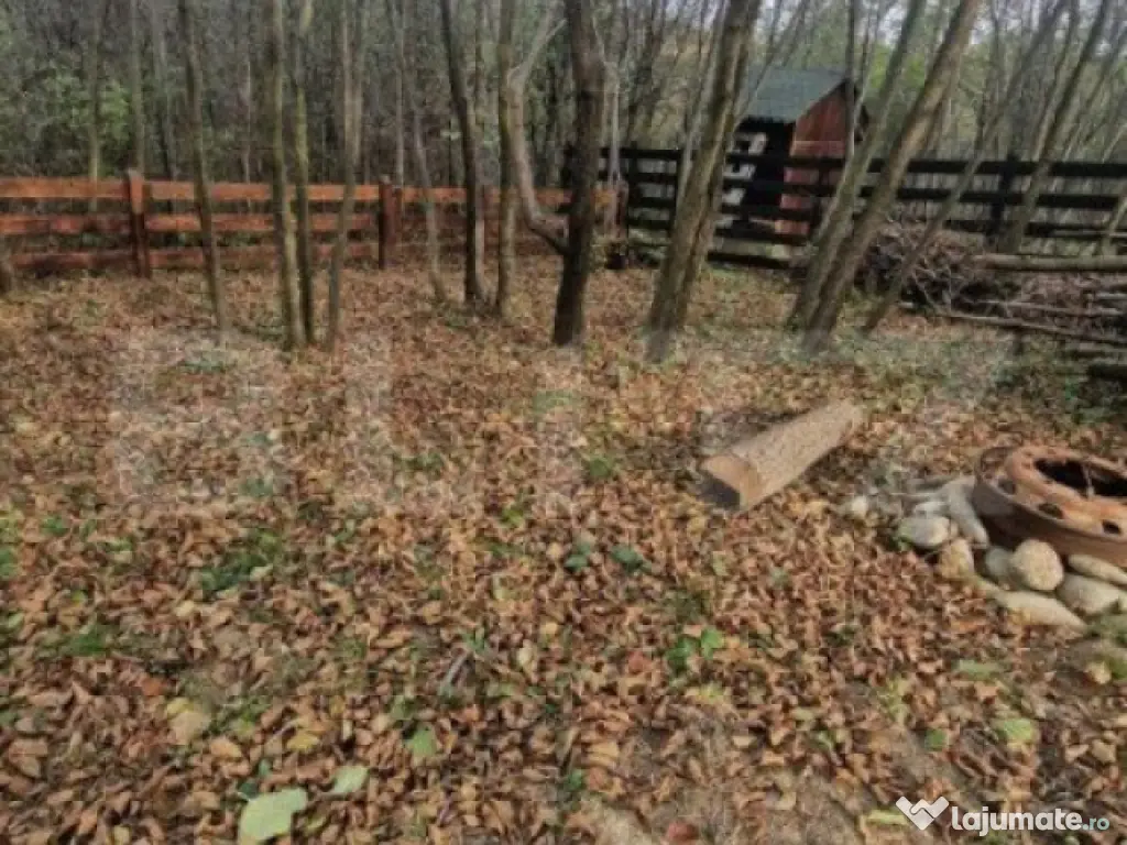 Casa de vacanta tip A- frame -Tohanita, zona superba se vind 