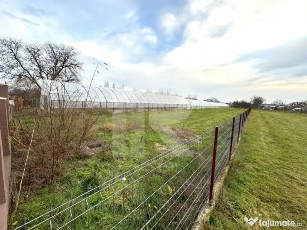 Teren Curcubeu, Balta Doamnei, intravilan, liber 