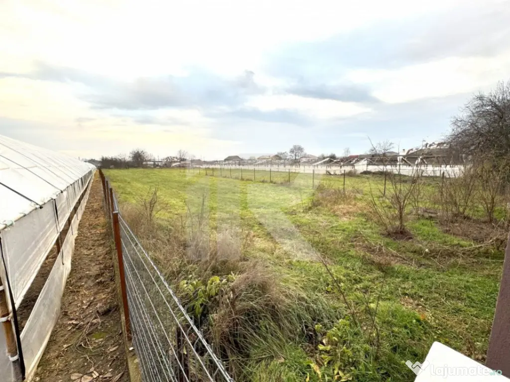 Teren Curcubeu, Balta Doamnei, intravilan, liber 