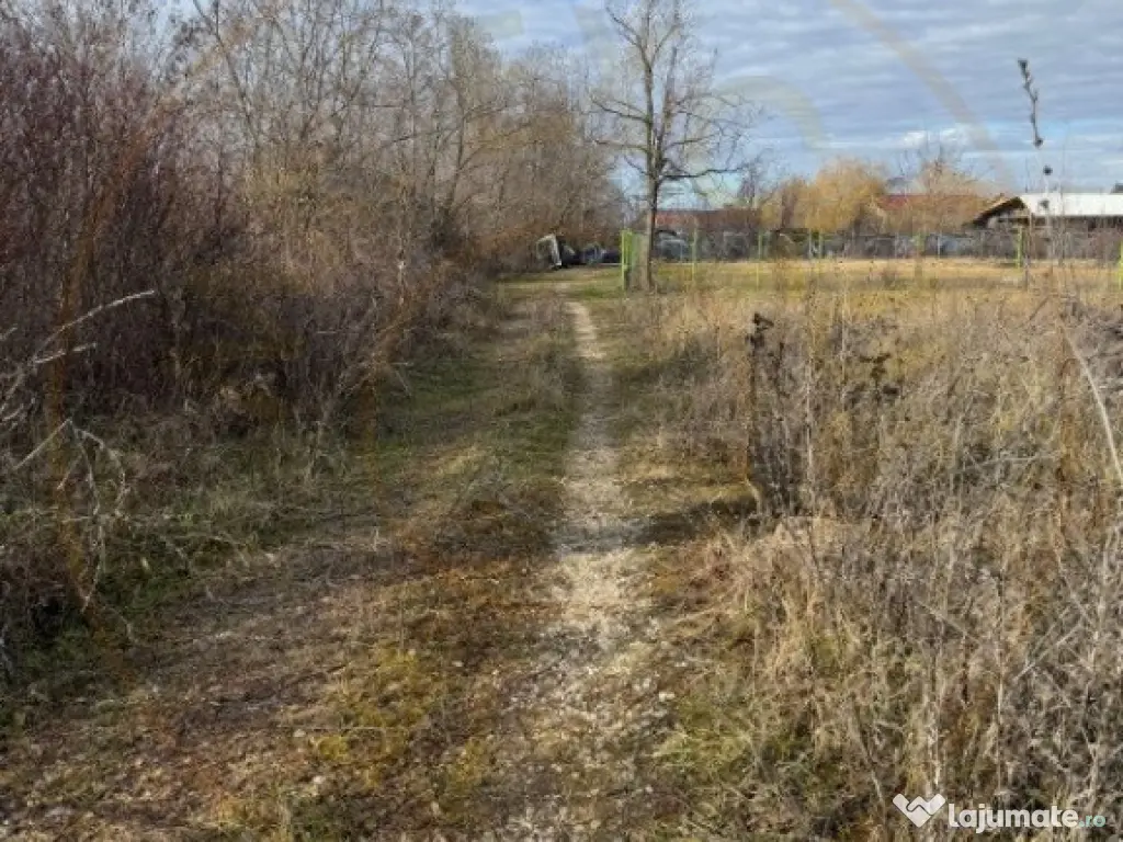 Teren intravilan Bananai - 2939 mp