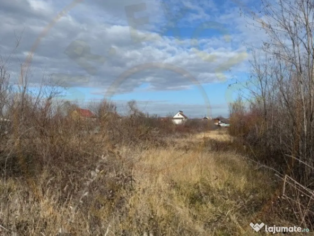 Teren intravilan Bananai - 2939 mp