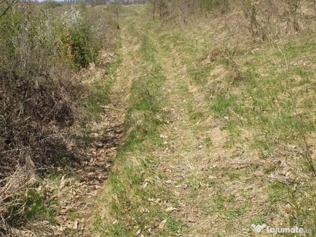 Teren cu panoramă fabuloasă, 10.059 mp, Roșia. 19.000 ... 