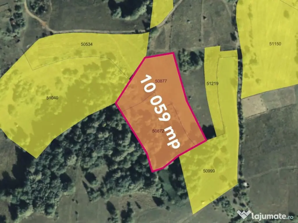 Teren cu panoramă fabuloasă, 10.059 mp, Roșia. 19.000 ...