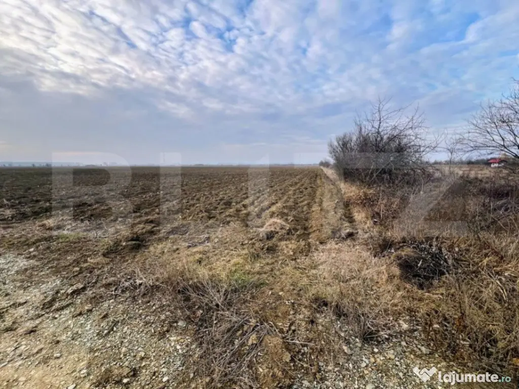 Oportunitate-Teren intravilan de vanzare, 5000 mp, zona Comu