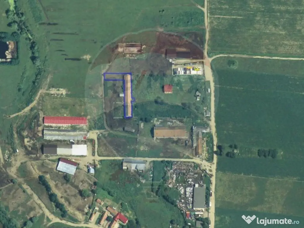 Teren intravilan și grajd | 1.333mp | Sercaia 