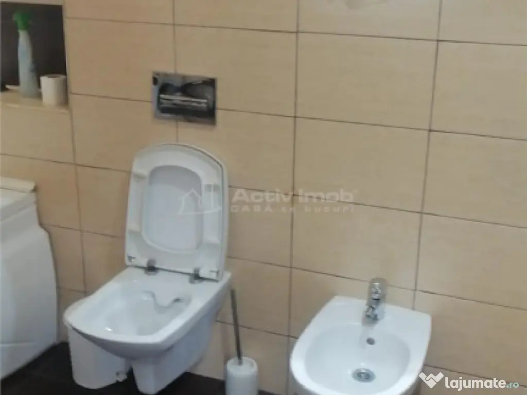 5 cam - Sanicolau - Mic 