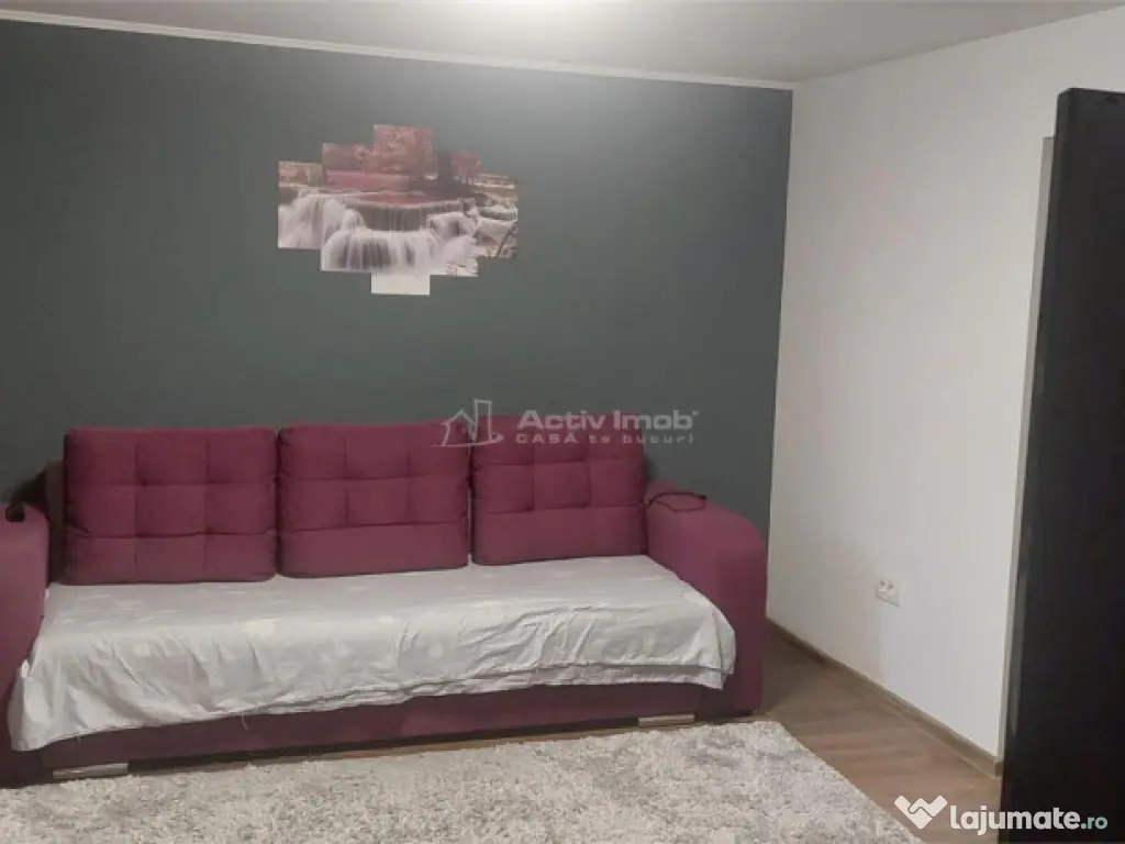 5 cam - Sanicolau - Mic 