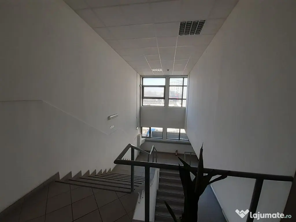 Hala 430 mp in zona Fizicienilor + platforme betonate sau...