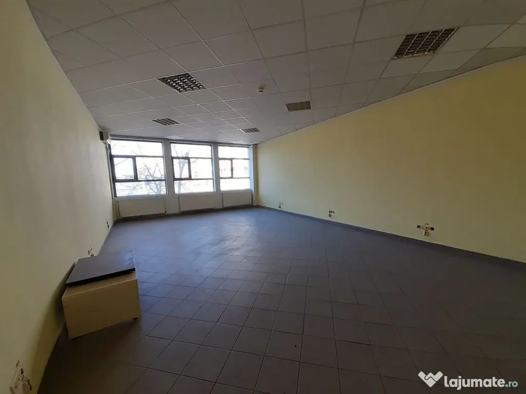 Hala 430 mp in zona Fizicienilor + platforme betonate sau...