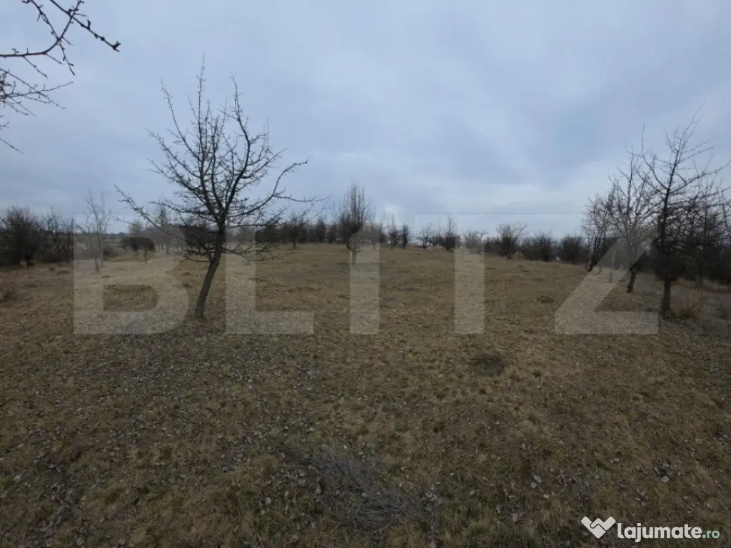 Teren extravilan de vanzare, 900 mp, Bistrita