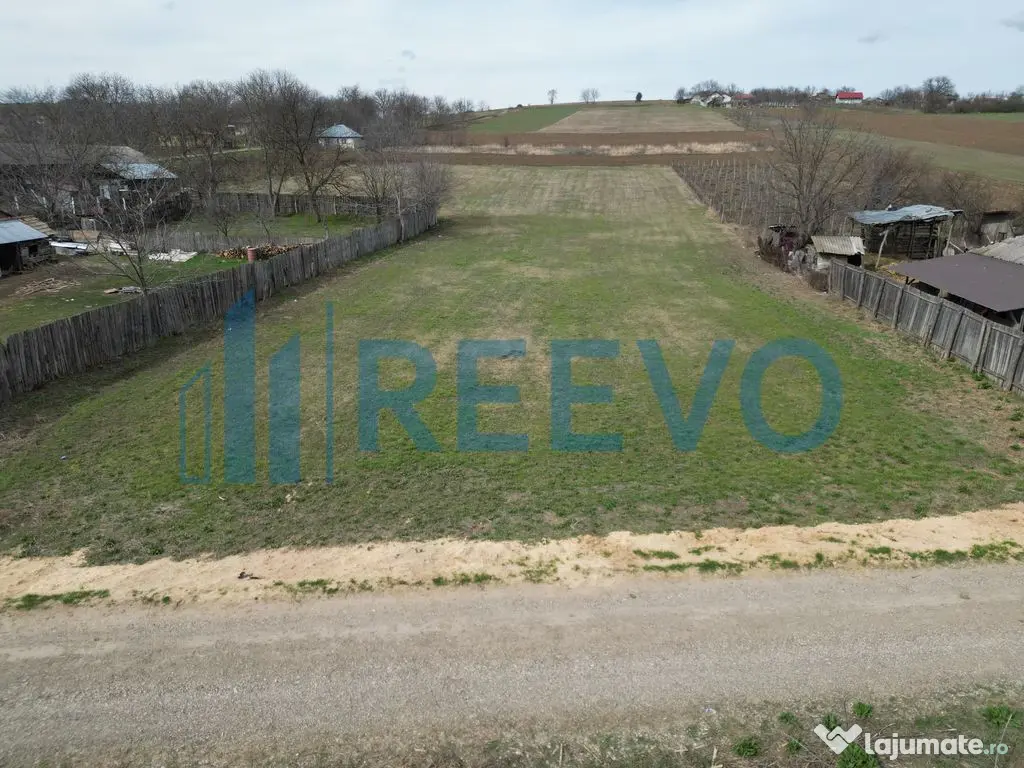 Teren de vânzare, Sat Bazga, Com. Horgești, Bacău 